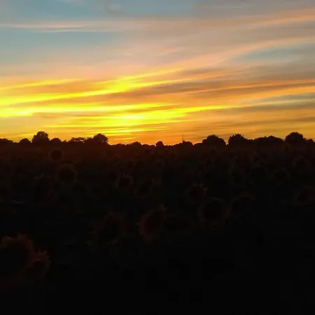 Calme Et Sérénité Au Des Hortensias *