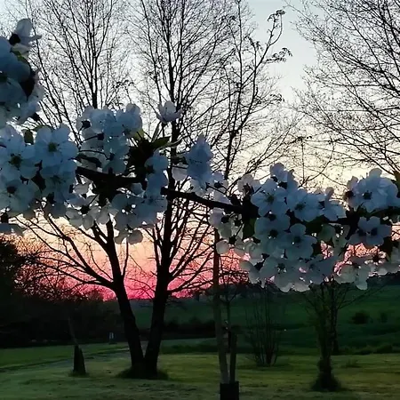 Calme Et Serenite Au Des Hortensias