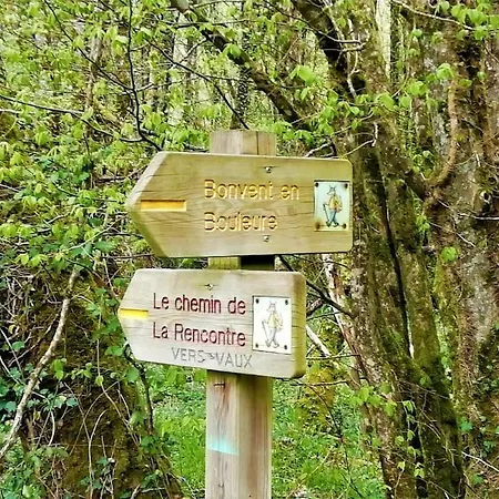 Calme Et Serenite Au Des Hortensias * Vaux (Vienne)