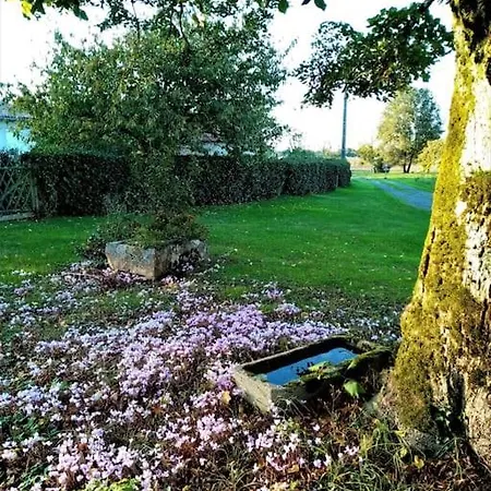 Calme Et Serenite Au Des Hortensias * Vaux (Vienne)
