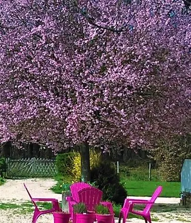 Calme Et Serenite Au Des Hortensias Vakantiehuis Vaux (Vienne)