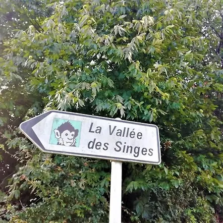 Calme Et Serenite Au Des Hortensias