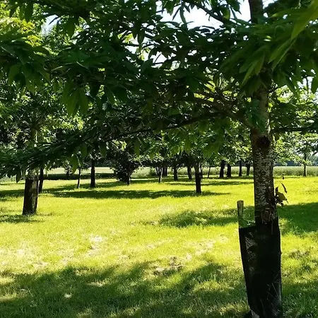Calme Et Sérénité Au Des Hortensias Сasa de vacaciones *