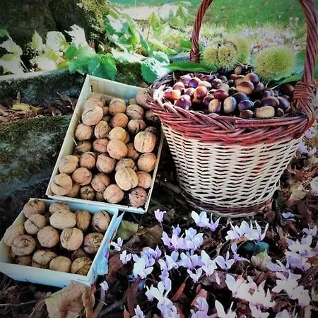 בית נופש Calme Et Serenite Au Des Hortensias Vaux (Vienne)