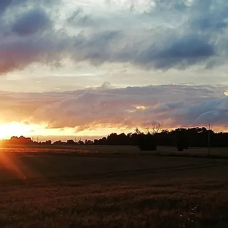 Calme Et Serenite Au Des Hortensias * Vaux (Vienne)