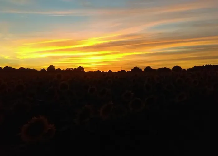 Calme Et Sérénité Au Des Hortensias *