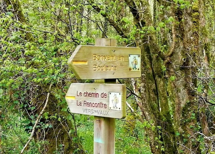 Calme Et Sérénité Au Des Hortensias * Vaux (Vienne)