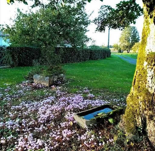 Calme Et Sérénité Au Des Hortensias * Vaux (Vienne)