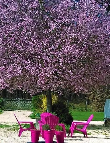 Calme Et Sérénité Au Des Hortensias Сasa de vacaciones Vaux (Vienne)
