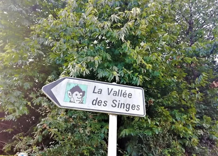 Calme Et Sérénité Au Des Hortensias