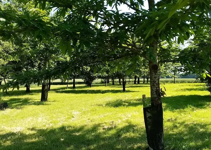 Calme Et Sérénité Au Des Hortensias Сasa de vacaciones *