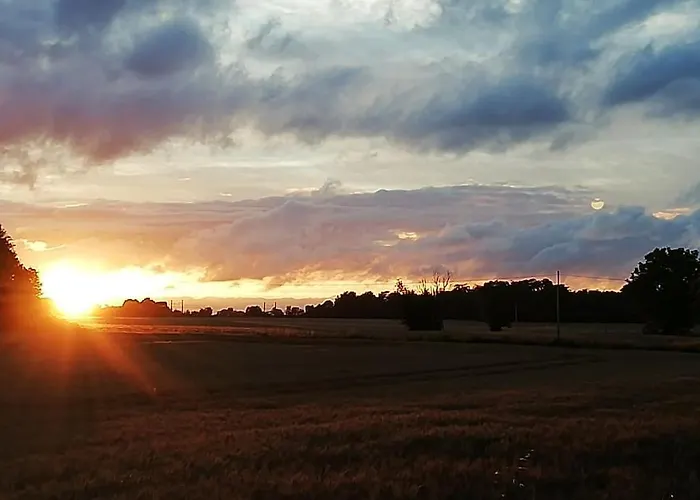 Calme Et Sérénité Au Des Hortensias * Vaux (Vienne)